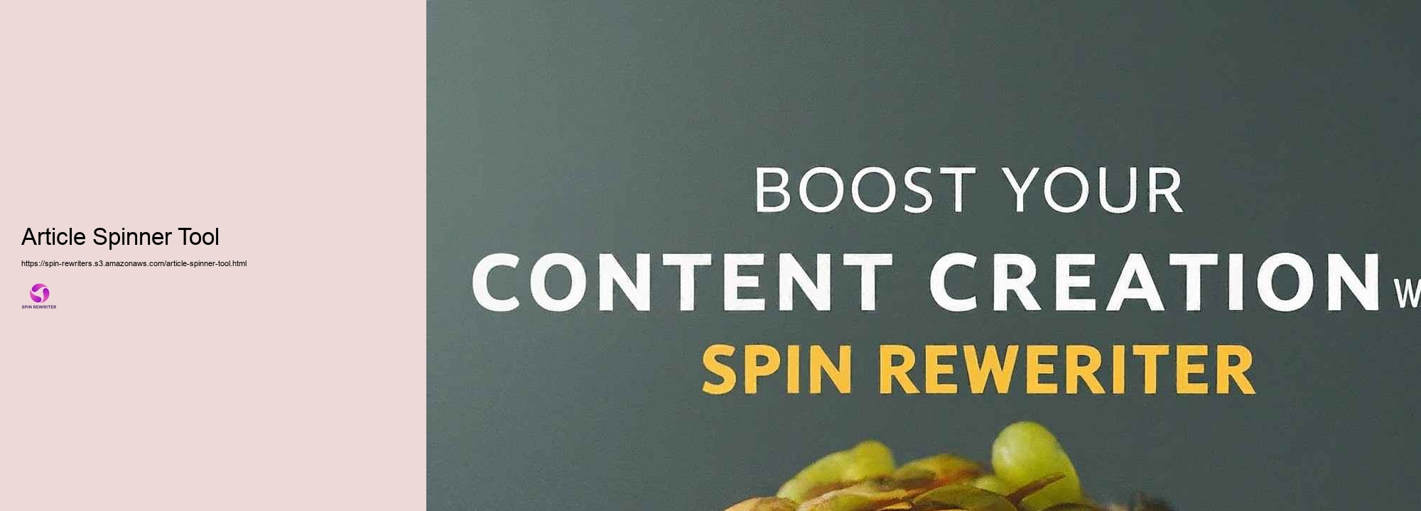 Contrasting Spin Rewriter with Various other Rewriting Instruments